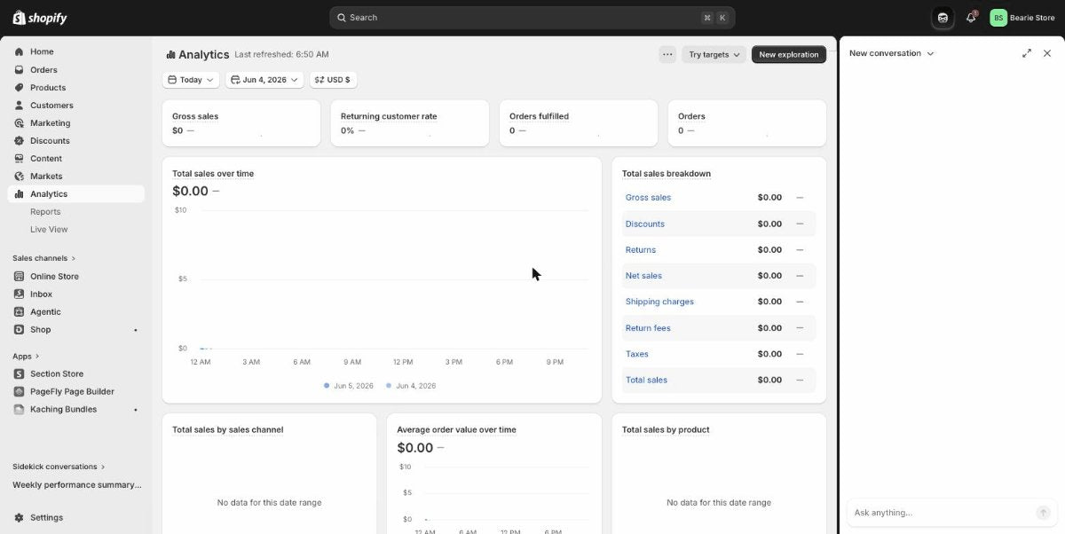 Shopify admin analytics dashboard of the Bearie test store
