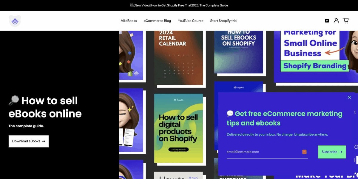 Bearie Store - the Shopify demo store we tested Sidekick on