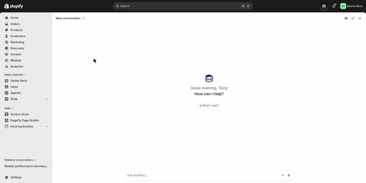 Shopify Sidekick chat interface in Shopify admin