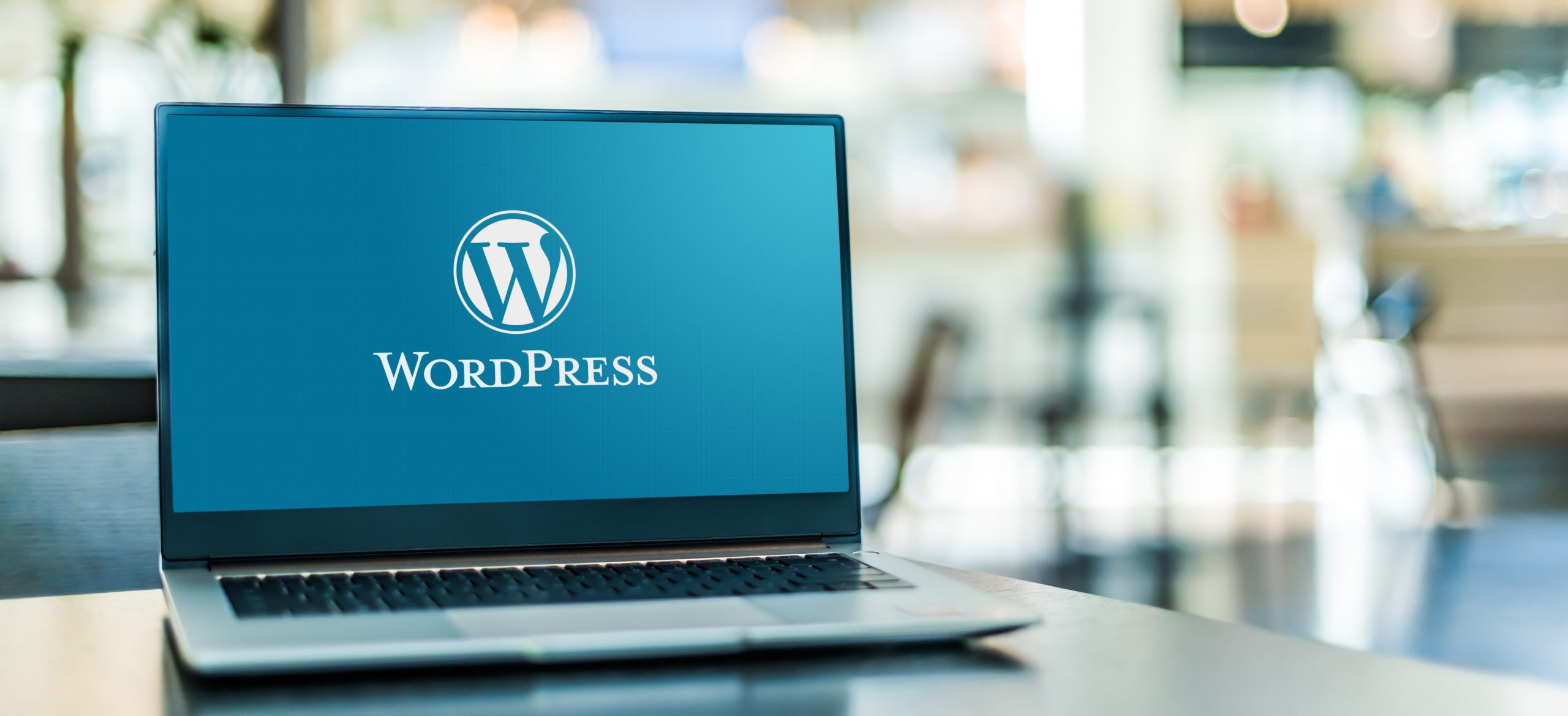 Everything You Need to Know Unlimited WordPress Development